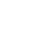 Kopana Holdings Investment Company